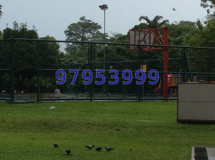 Blk 453 Choa Chu Kang Avenue 4 (Choa Chu Kang), HDB Executive #19666292